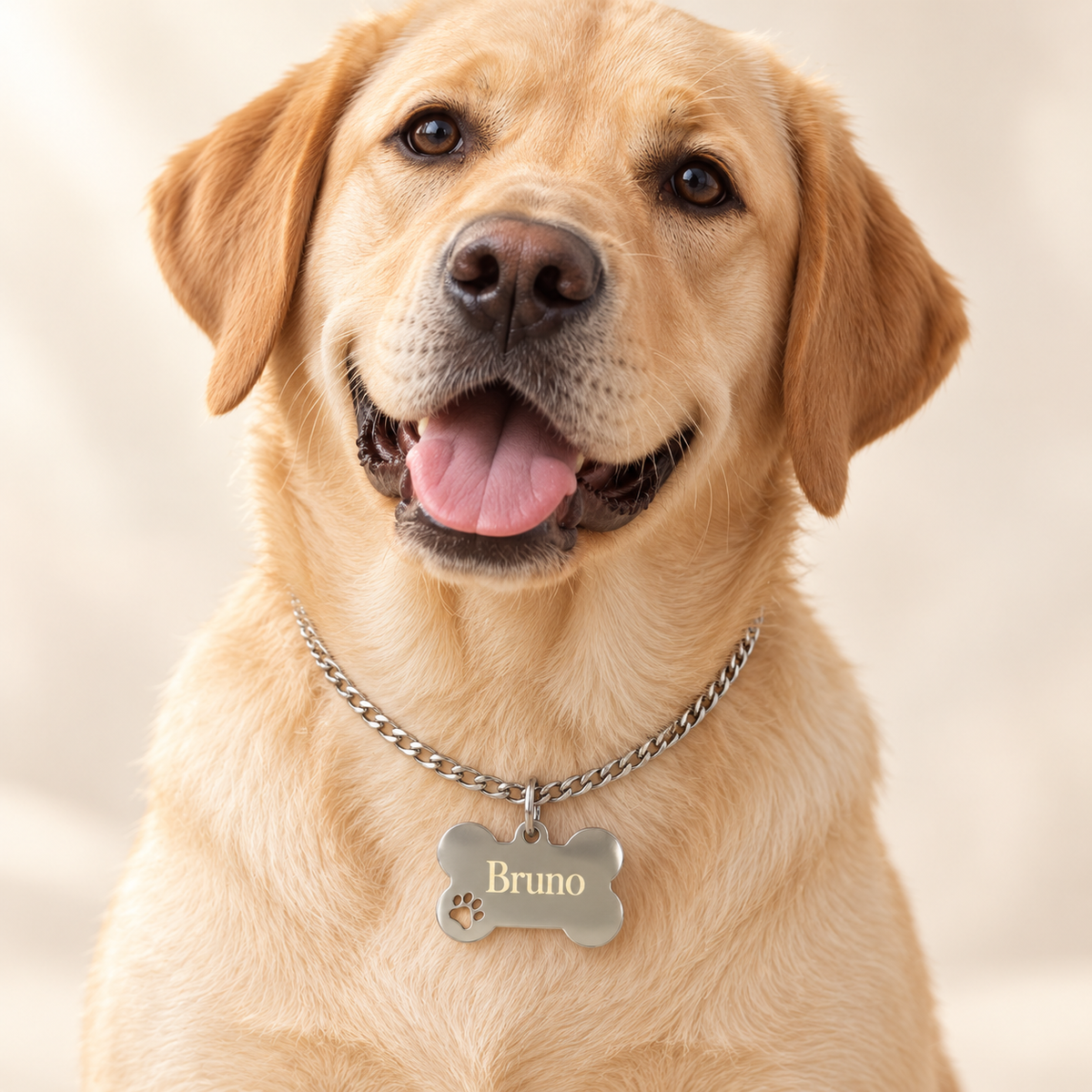 Hundemarke aus Edelstahl personalisiert – Knochen mit Pfote & Namensgravur